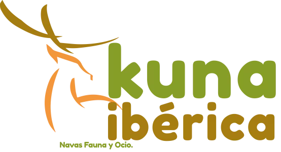 cropped-logo-kuna-colores-1