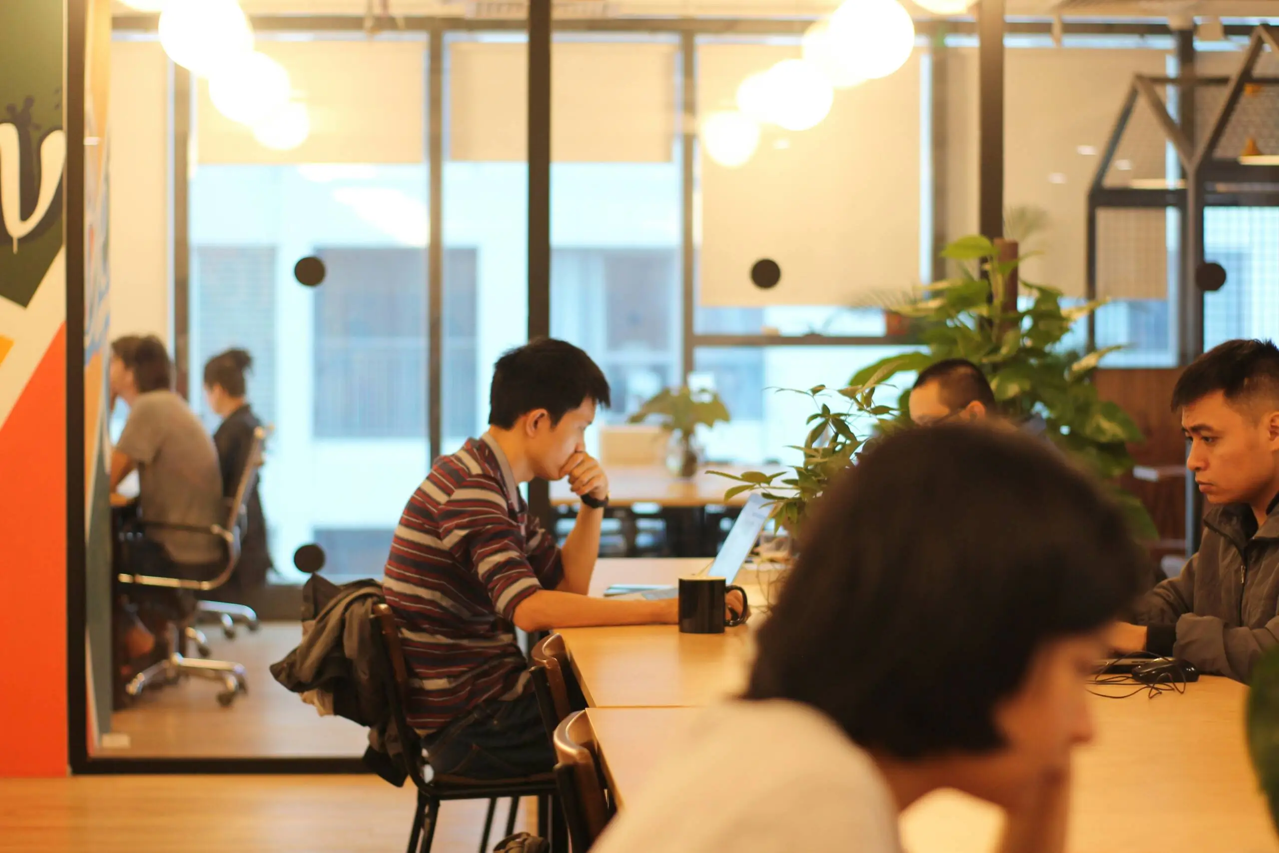 que estudiar para conseguir trabajo rápido