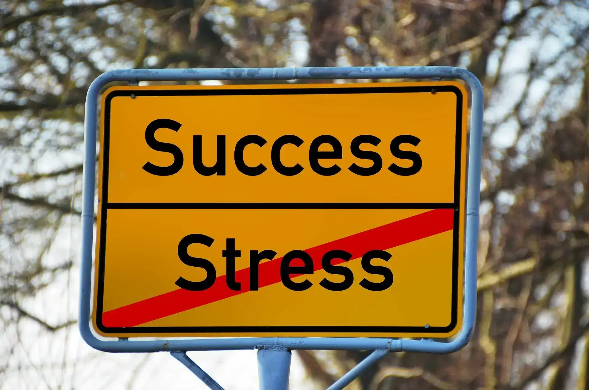 Estudiar, treballar i no morir en l’intent