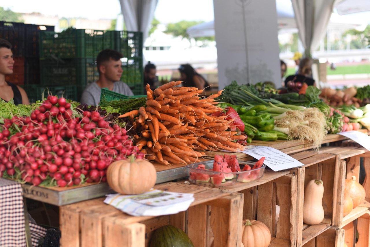 Marc Vergés, professor del centre adscrit a Linkia FP Institut de Formació Professional Roger de Llúria, oferirà dues conferències a la tercera edició del Com Com Festival